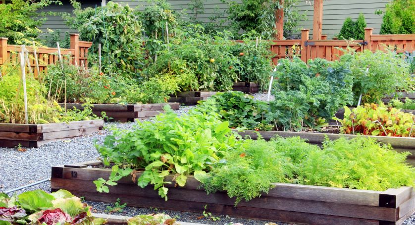 Community Gardens